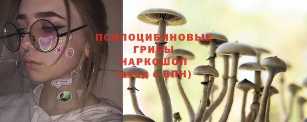 дмт Надым