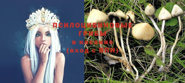дмт Надым