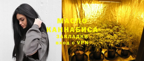 дмт Надым