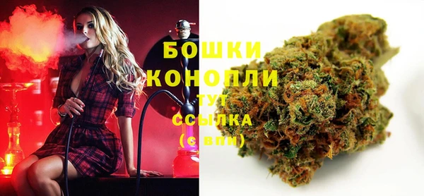 дмт Надым