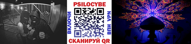 Галлюциногенные грибы мицелий  Купить где  Обь 